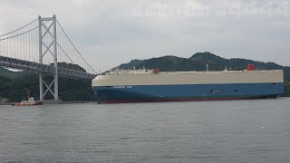 商船三井 自動車運搬船｢GENUINE ACE｣三和ドック出渠 試運転後に川崎へ MOL Car Carrier \