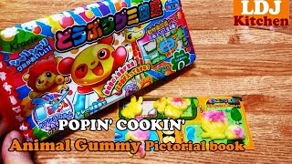 Popin' Cookin' : Animal Gummi Pictorial book (どうぶつグミ図鑑 동물구미도감)