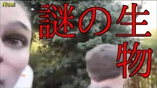 【不気味映像】エイリアン？UMA？謎の生物