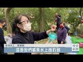 延續物命用心布置 中壢歲末人文氣息濃