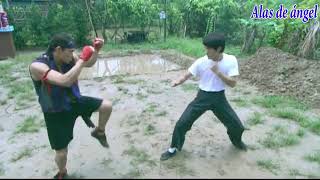 Bruce Lee vs muay thai