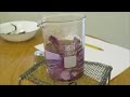 Chemistry Experiment 11.2 Anthocyanins as Acid/Base Indicators (Berean Builders)