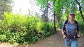 360 Video - Whitemud Creek Ravine, Edmonton, Alberta, Canada