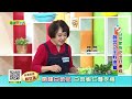 程安琪：經典【山東大白菜】做料理！水分高清甜口感真爽脆！「白菜」種類有多種，做法用途大不同！開陽白菜心 白菜蝦仁麵疙瘩【健康好生活】