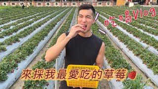 吃喝Vlog │ 抓住草莓季的尾巴，來去苗栗採草莓！苗栗小小銅板美食帶你吃~