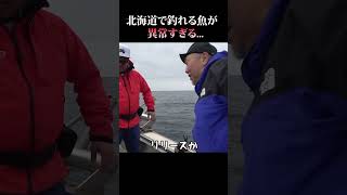 水深500m・北海道の海で釣りした結果... #shorts