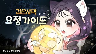 뉴비를 위한 요정 가이드 A to Z