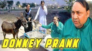 Tasleem Abbas and Soni New Funny Show || Donkey Funny Prank ||@TasleemAbbasOfficial