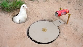 Easy Underground Pigeon Trap Using Paper And Can_ How To Make Bird Trap