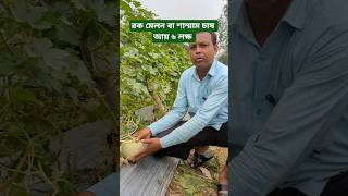 রক মেলন বা শাম্মাম চাষ। #farming #viralvideo #farmbd #agriculture #viralshorts #agro