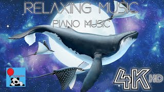 Relaxing Piano Study/Work Music | Relaxing Meditation Music | Relaxing Background Music