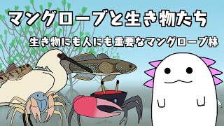 マングローブと生き物たち！生き物にとっても人にとっても大切なマングローブ林