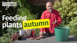 Feeding plants in autumn | David's COMPLETE guide