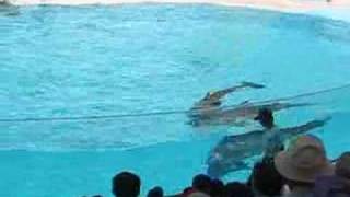 Suma Dolphin Show