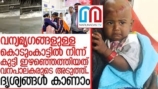 വന്യമൃഗങ്ങളില്‍ നിന്ന് പിഞ്ചുകുഞ്ഞിന്റെ അത്ഭുതകരമായ രക്ഷപ്പെടല്‍ I