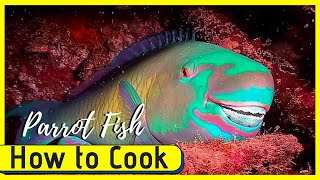 Buy and Cook Parrot Fish Oistins Fish Market Barbados Bajan Cooking