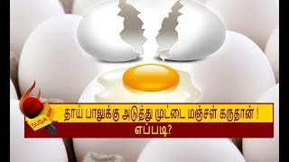 முட்டை மஞ்சள் கரு நல்லது... எப்படி?! |  EGG NUTRITION