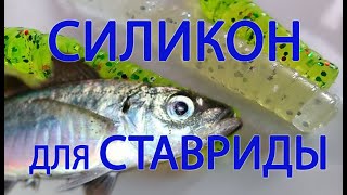 Силикон на ставриду. Приманка для ловли ставриды с берега