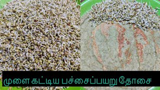 முளைகட்டிய பச்சைப்பயறு தோசை/Pachai Payaru Dosai in Tamil/Green Gram Dosa Recipe@nandhini_varisugal