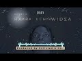 Danny N - Ramba Uchikwidza (Official Audio)