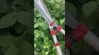 Ножиці садові телескопічні для кущів Altuna (30CST.A). #garden #farming  #diy #сад #agriculture