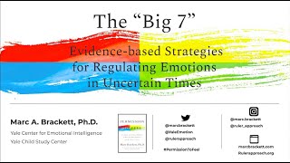 'The Big Seven’-Strategies for Healthy Emotion Regulation in Uncertain Times