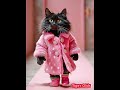 french mink pink coat cat fashion coat catwalk cat model magazine new trends