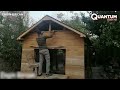 Building Amazing DIY Wood Cabin Step by Step  Tiny Home  @WoodWorkerenginbircan