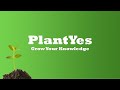 🌱 Welcome to PlantYes 🌻