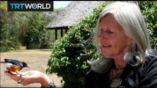 Kenya Shooting: Gunmen shoot prominent conservationist