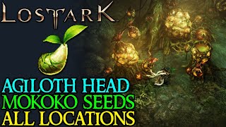 LOST ARK AQUILOK'S HEAD ALL MOKOKO SEED LOCATIONS