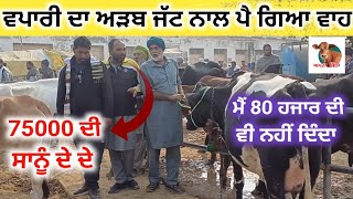 ਵਪਾਰੀ ਦਾ ਅੜਬ ਜੱਟ ਨਾਲ ਪੈ ਗਿਆ ਵਾਹ | Dabwali Pashu Mandi | #dairyfarm #cow #balkar 2024