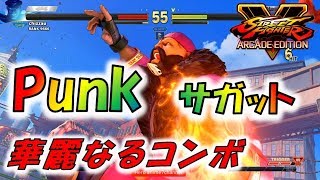 Punk サガット 華麗なるコンボ！！強すぎやん！Punk Sagat Brilliant Combo【ストVAE★SF5AE】