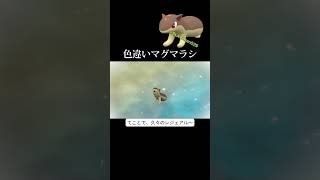 【ポケモンSV】色違いヒスイバクフーンが欲しい！ #ポケモンsv #ポケットモンスター #色違い #色違い厳選 #ヒスイバクフーン #レジェアル #孵化厳選 #shorts