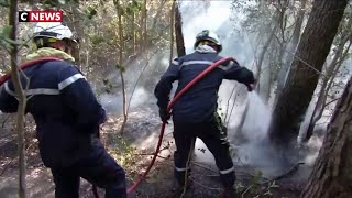 Incendie dans le Gard : 488 ha parcourus, le feu ne se propage plus