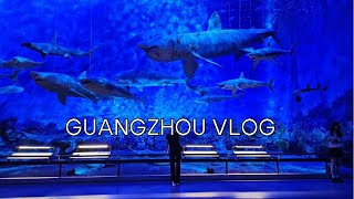 SUB)중국vlog•광동박물관ㅣ샘스클럽\u0026한인마트 장보기🛒ㅣ택배 언박싱🎁ㅣ건강하게 집밥 일상ㅣ추천템, 필수템ㅣ중국 동물병원