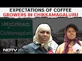 Chikkamagaluru Coffee | What Are Expectations Of The Coffee Growers In Chikkamagaluru