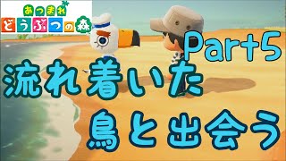 【あつ森】あつまれ どうぶつの森part5 異国の鳥と出会う？