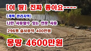 **저수지를 내 연못처럼 사용할수 있는 땅 296평 실제 400평사용 계획관리지역 도로 전기 상수도 다 연결가능합니다 몽땅 4600만원에 모십니다.