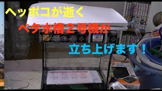 [アクアリウム][立ち上げ]ベタ水槽２号機立ち上げます！