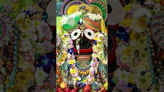 ଜଗନ୍ନାଥ ଗପ| Jagannath Story #youtubeshorts #rathyatra #jagannath #jagannathstory #gapa