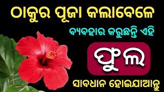 କେଉଁ ଫୁଲ ପୂଜା କରିବାବେଳେ ବ୍ୟବହାର ହୁଏନାହିଁ | Odia bayagita tips, Anuchinta