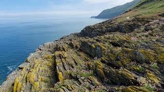 Llangrannog - Cwmtydu 4