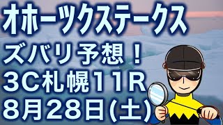 【投資競馬塾】オホーツクステークス（3勝クラス）札幌11R★ズバリ予想！★令和3年8月28日（土）