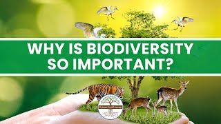 WHAT IS BIODIVERSITY| IMPORTANCE OF BIODIVERSITY @jhwconcepts711