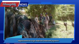 ខណ្ឌរដ្ឋបាលជលផលកំពង់ចាម ចុះបង្ក្រាប បទល្មើសជលផល បានចំនួន០១ករណី ក្នុងស្រុកកងមាស