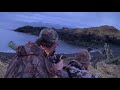 amaizing bear hunting adventure in usa caccia all orso bear grizzly kill