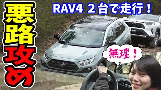 【RAV4】Adventure VS G 