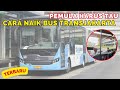 Cara Naik Bus Transjakarta Bagi Pemula TERBARU