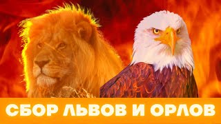 Сбор львов и орлов 24/3/22 пророческая встреча